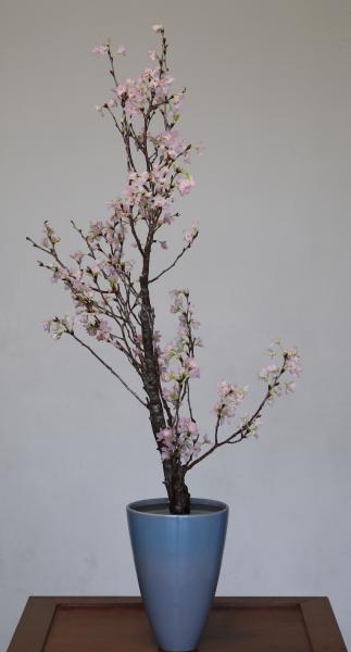 『0307 啓翁桜』の画像