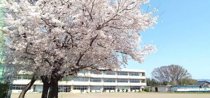鳥羽小学校