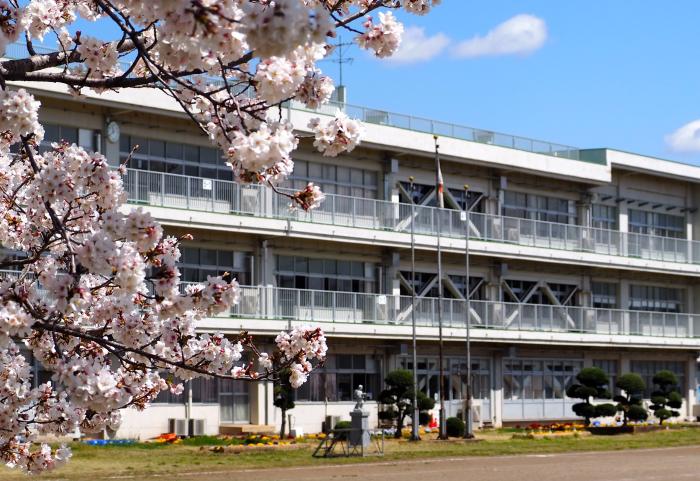 桜と校舎