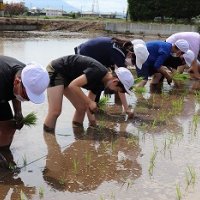筑西市立川島小学校ホームページ