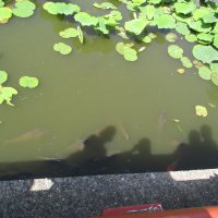 IMG_0084