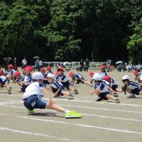 IMG_0582