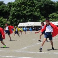 IMG_1182
