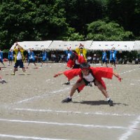 IMG_1179