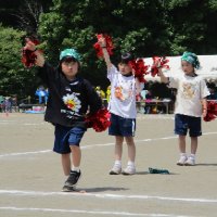 IMG_0548