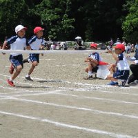 IMG_0475