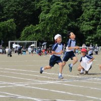 IMG_0382