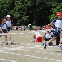 IMG_0483