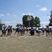 IMG_0463