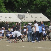 IMG_0294