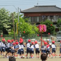 IMG_0282