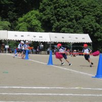 IMG_0437