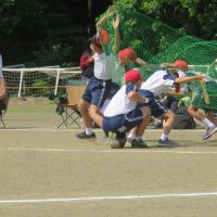 IMG_0255