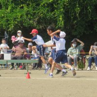 IMG_0256