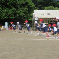 IMG_0206