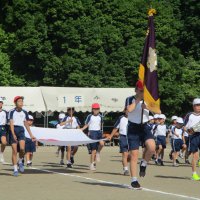 IMG_0582
