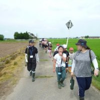 田んぼふれ合い②