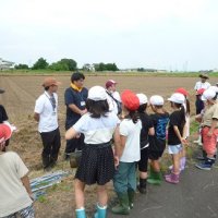田んぼふれ合い③