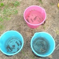 田んぼふれ合い⑥