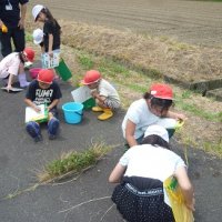 田んぼふれ合い⑦