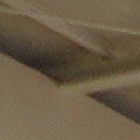IMG_2795