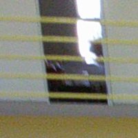 DSCF0031