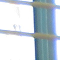 IMG_2804
