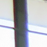 IMG_2810