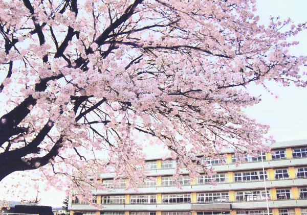 筑西市立大村小学校ホームページ