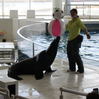 ５月12日（金）３・４年遠足