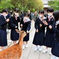 ３年生修学旅行