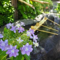 ６年生　修学旅行　１日目