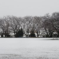 ２月５日（月）雪景色
