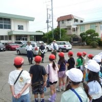 田んぼの生き物とのふれ合い体験（３年生）